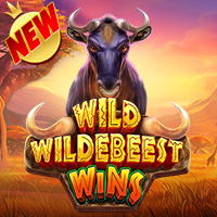 DEMO Wild Wildebeest Wins